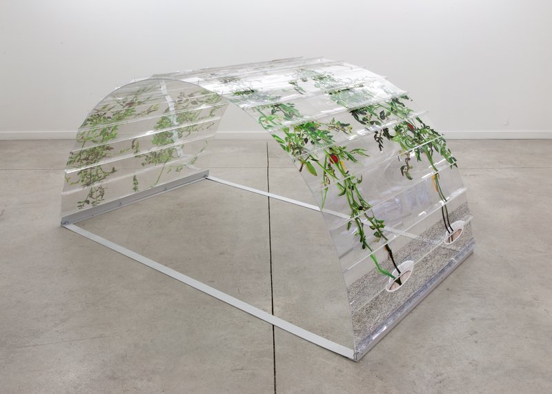 Alex Fischer, Vii 6000 Arch 2crop, 2015-02-26